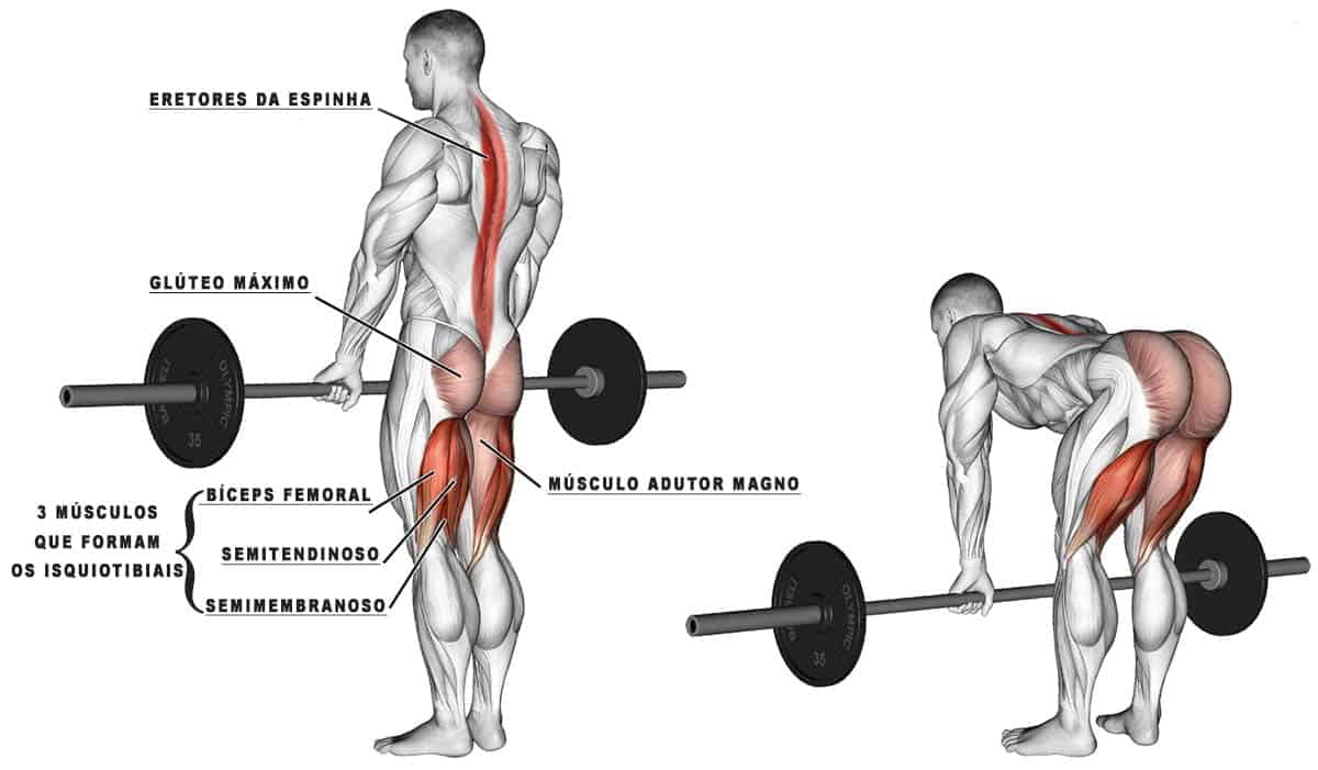 BRAÇO FORTE MUSCULAÇÃO: Fortaleça glúteos e pernas com Agachamento