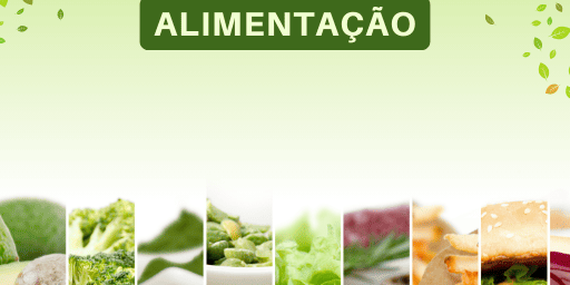 A Importância da boa alimentação: Nutrindo corpo e mente